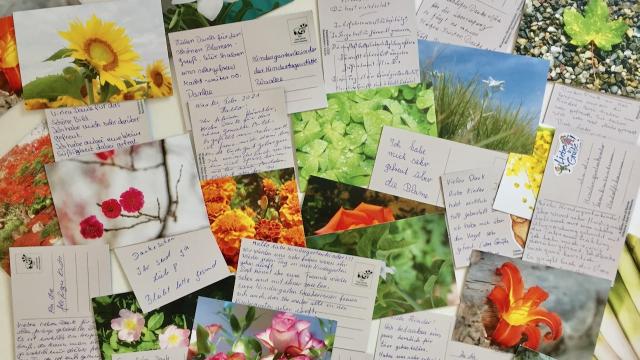 Im Kindergarten können nun viele Karten vorgelesen werden.