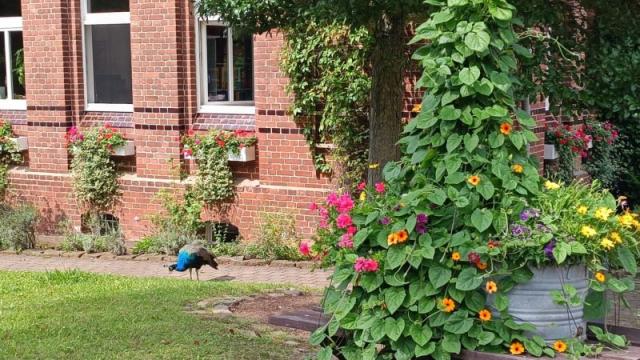 Tagespflege Duderstadt besucht Gut Herbigshagen. | Foto: Caritas