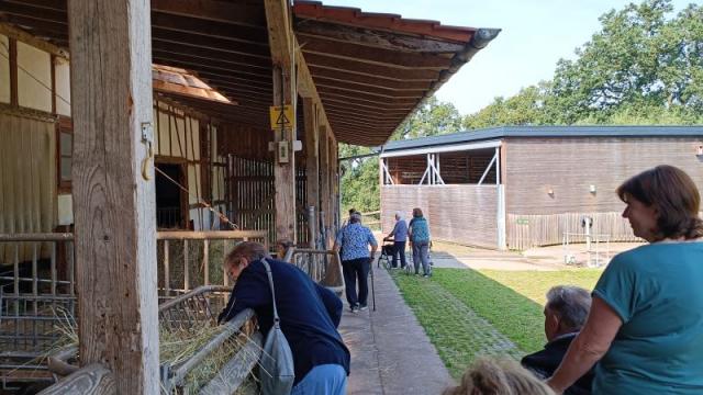 Tagespflege Duderstadt besucht Gut Herbigshagen. | Foto: Caritas